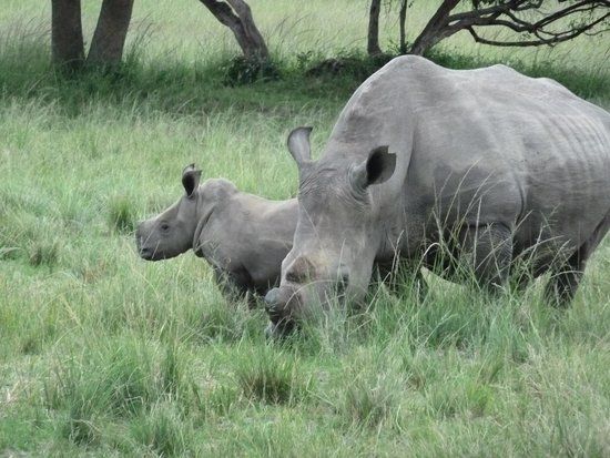 Thetford Game Reserve